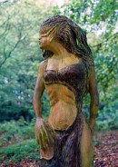 Woman in wood